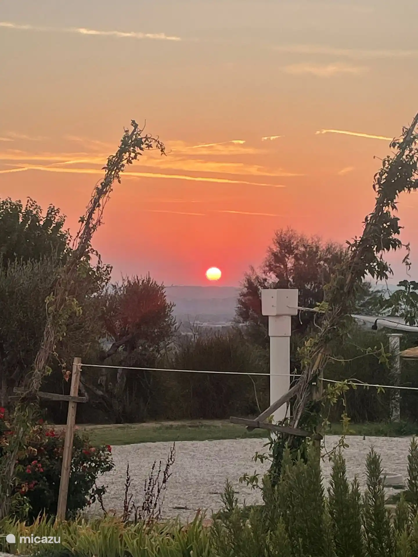 Der Morgen hat Gold im Mund!