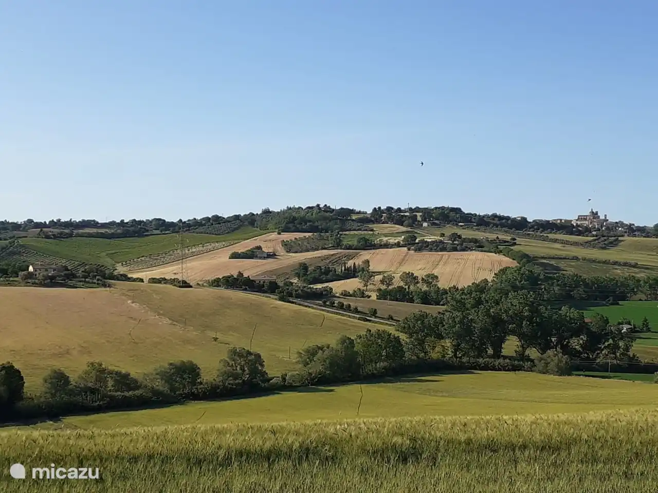 und durch die wunderschöne Landschaft rund um die Villa Montefiore