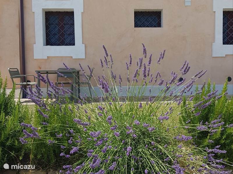 Ferienwohnung Italien, Marken, Monsano Appartement Villa Montefiore - App. Lavendel