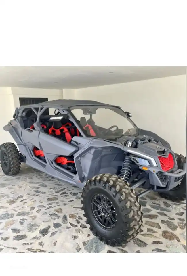 Das ist Betsy. Wir haben beschlossen, dass Betsy auch zusammen mit Chongs Villa gemietet werden kann