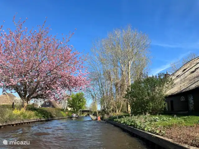 Oasis Giethoorn en Países Bajos, Overijssel, Giethoorn - casa rural / cabaña Acogedora navegación por los hermosos canales.