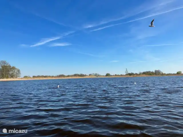 Oasis Giethoorn en Países Bajos, Overijssel, Giethoorn - casa rural / cabaña En el cercano lago Bovenwijde.