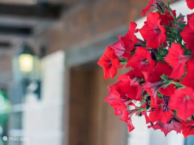 Villa Verdi en Portugal, Costa de Lisboa, Aroeira - villa flores