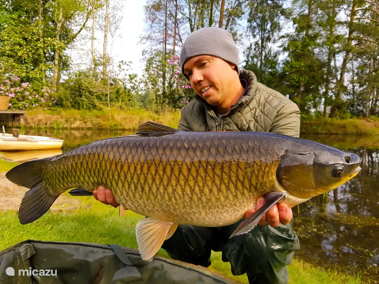 Fischteich mit Fischen