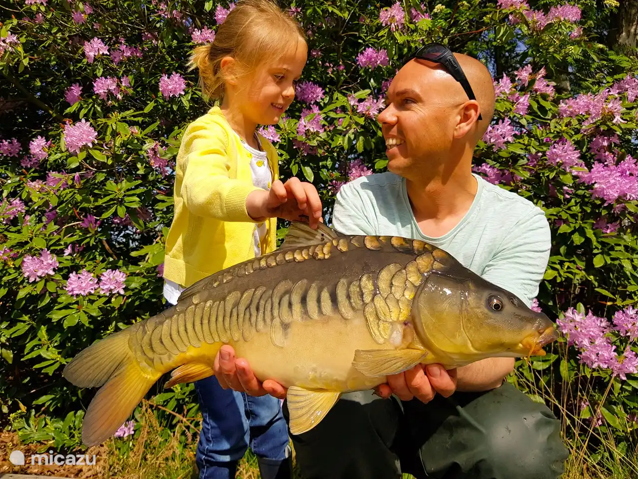 Fischteich mit Fischen