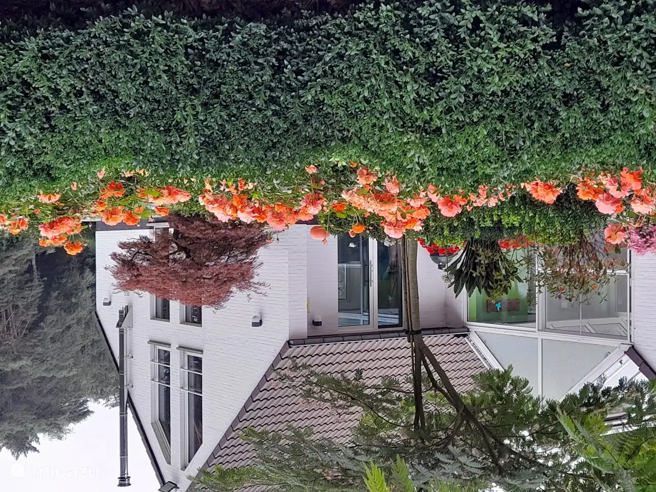 Blumenpracht für das Ferienhaus