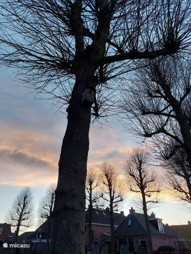 Stimmungsvolles Bild des Dorfes Ee.