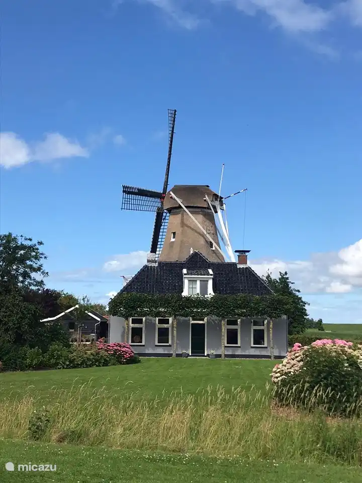 Windmühle bei Anjum