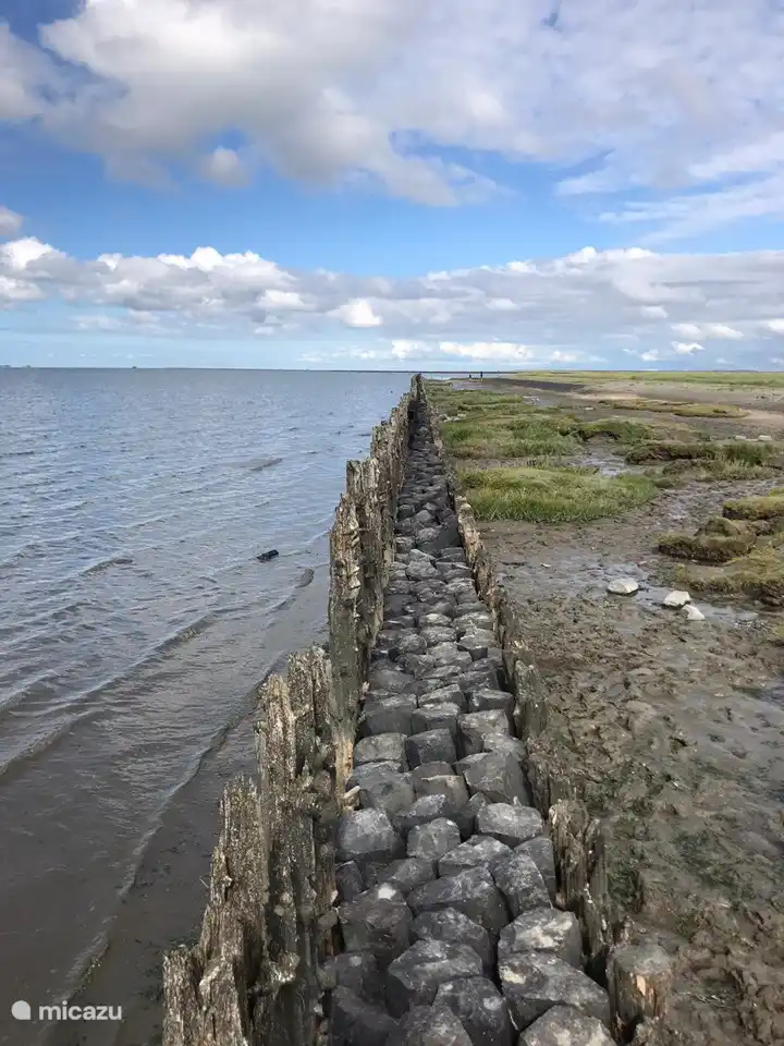 Viele schöne Küsten in der Nähe