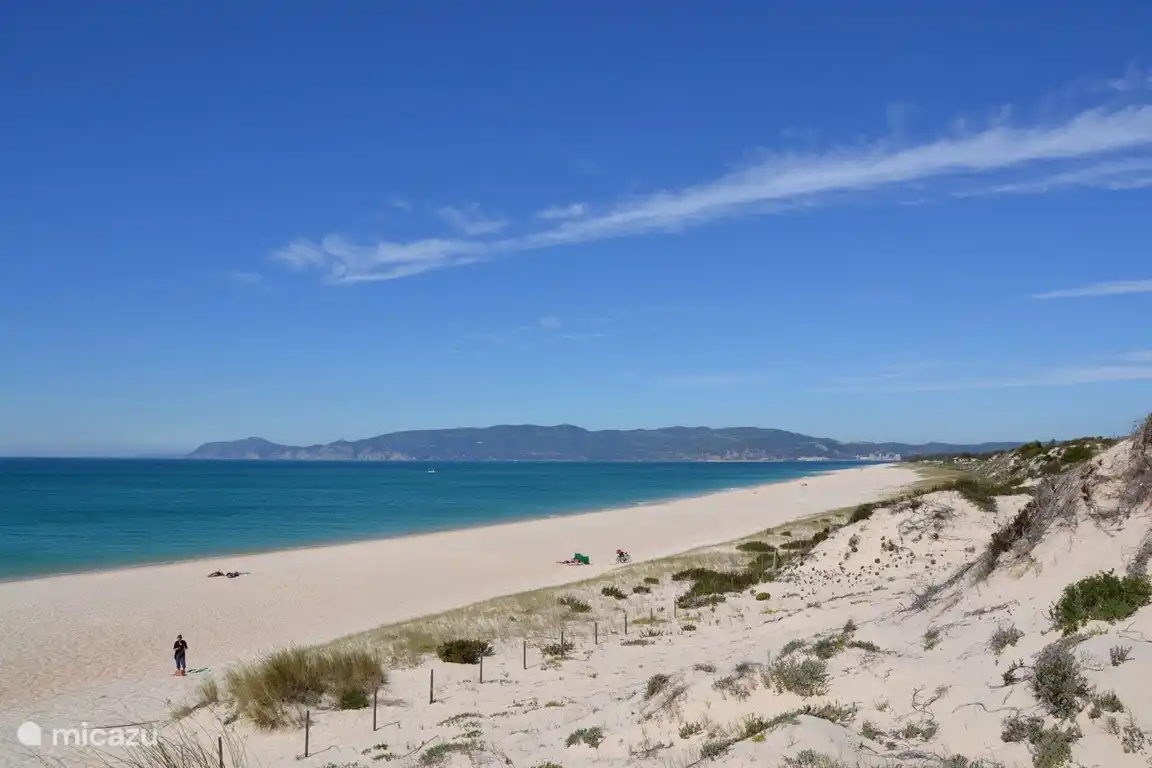 Strand op loopafstand
