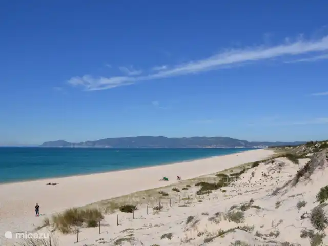 Villa Atalante | Portugal, Setúbal, Troia - villa Plage à distance de marche