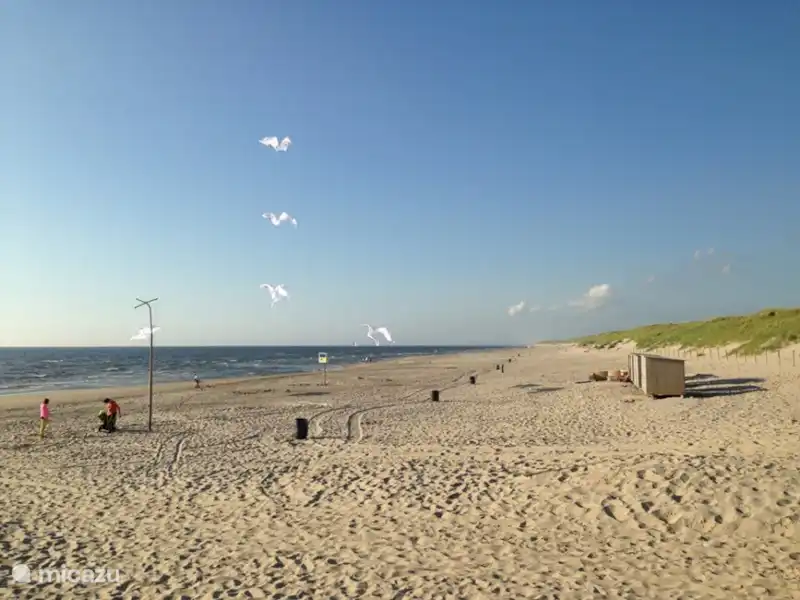 Dunes 138 | Pays-Bas, Hollande du Nord, Sint Maartensvlotbrug - Bungalow Dunes 138 | Pays-Bas, Hollande du Nord, Sint Maartensvlotbrug - Bungalow