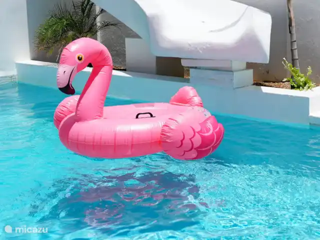 Lange termijn verhuur, Curaçao, Banda Ariba (oost), Cas Grandi, appartement 4BlessingsCuracao Agosto
