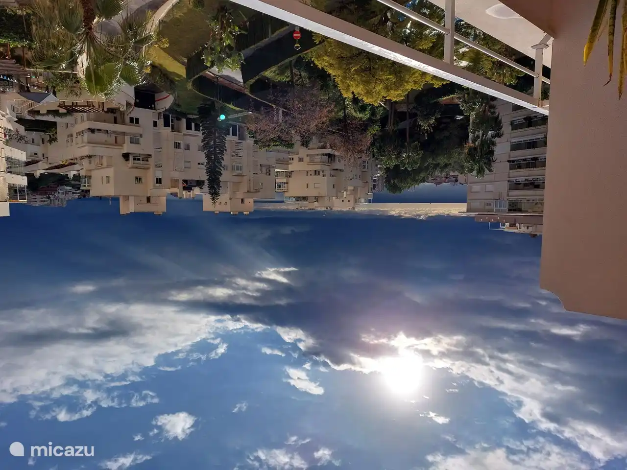 Guten Morgen vom Balkon