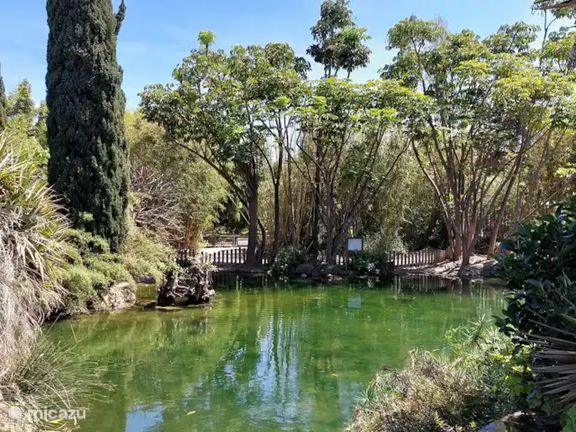 Benalmadena Penthouse ALL-IN | Espagne, Costa del Sol, Benalmádena - appartement Parc Paloma - 15 min à pied
