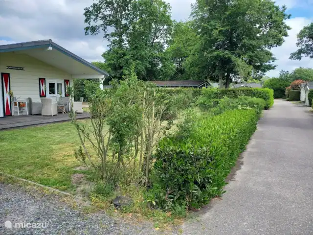 Chaletbos Veluwe vakantiewoning huren in Nederland, Gelderland, Voorthuizen - chalet straatje en voortuin