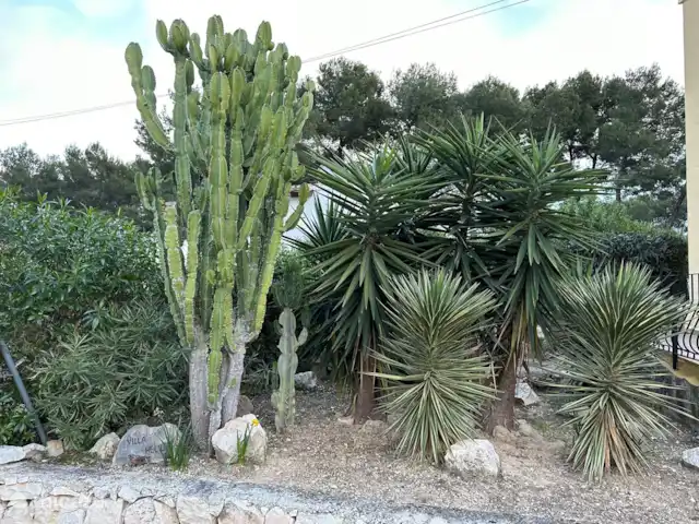 Villa Helios huren in Spanje, Costa Blanca, Moraira - villa De voortuin