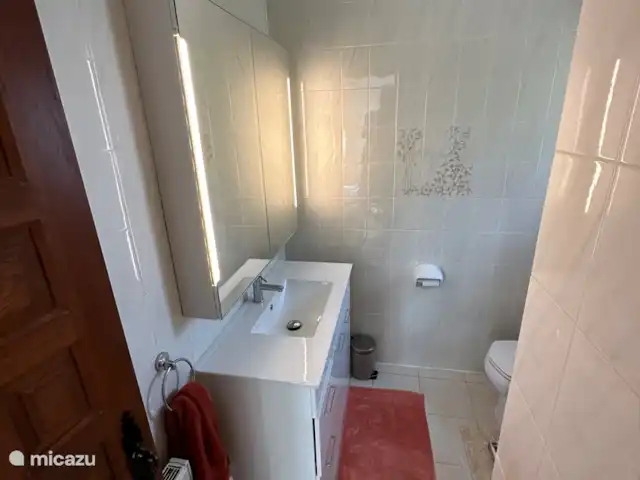 Villa Helios huren in Spanje, Costa Blanca, Moraira - villa Badkamer en-suite met toilet, douche en wastafel bij de Master bedroom