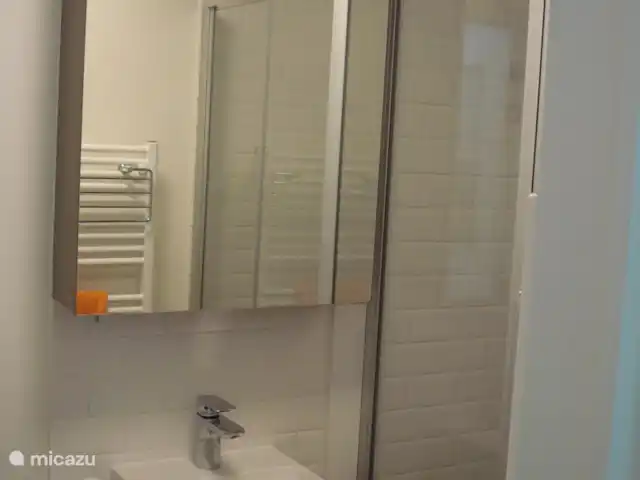 Location de Vacances Belgique, Flandre occidentale, Bruges, ferme - Hoeve de Hagepoorter 1 - Charme Salle de bains