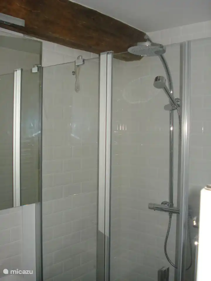 Badezimmer mit Dusche