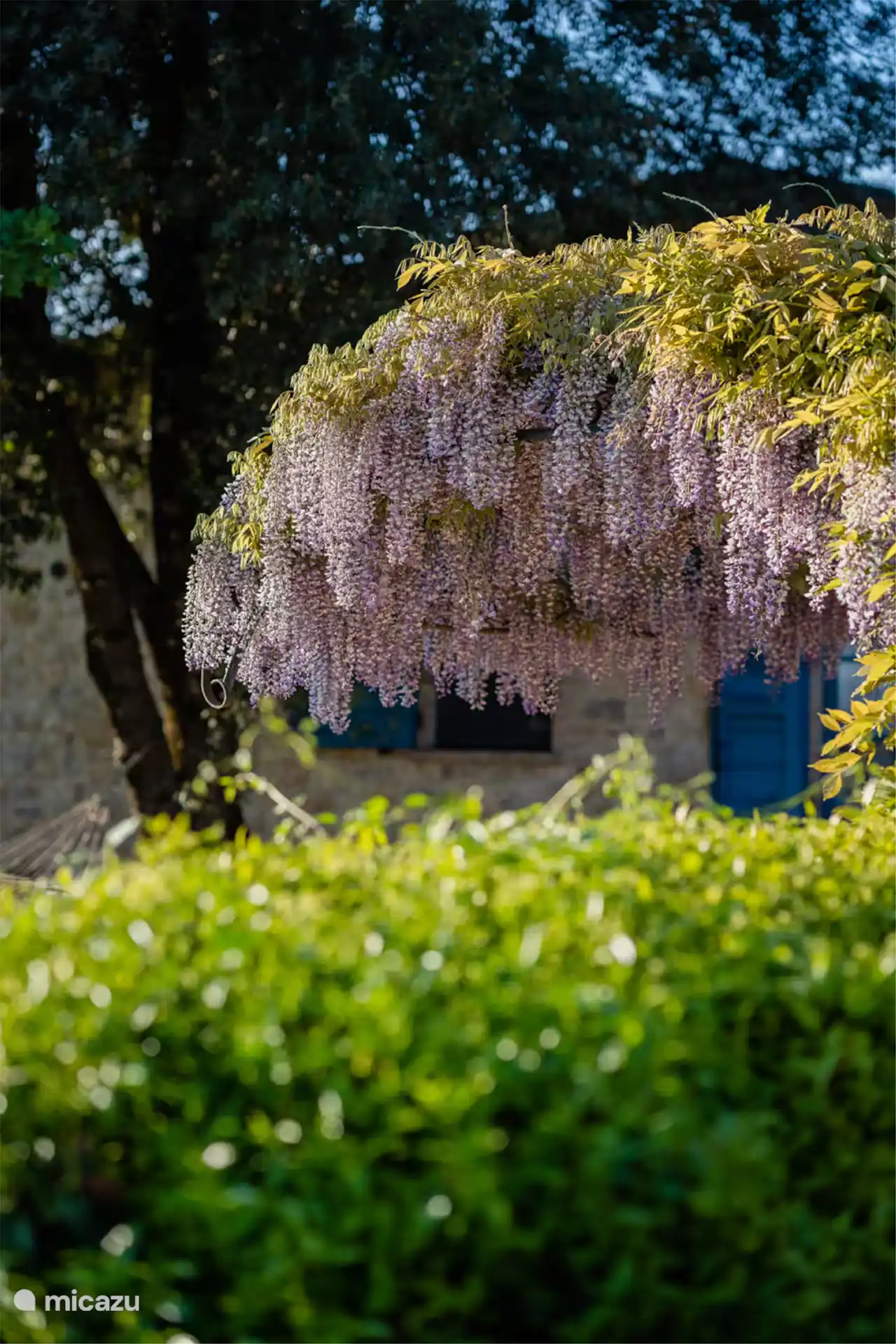 Es una zona tranquila con un hermoso jardín.