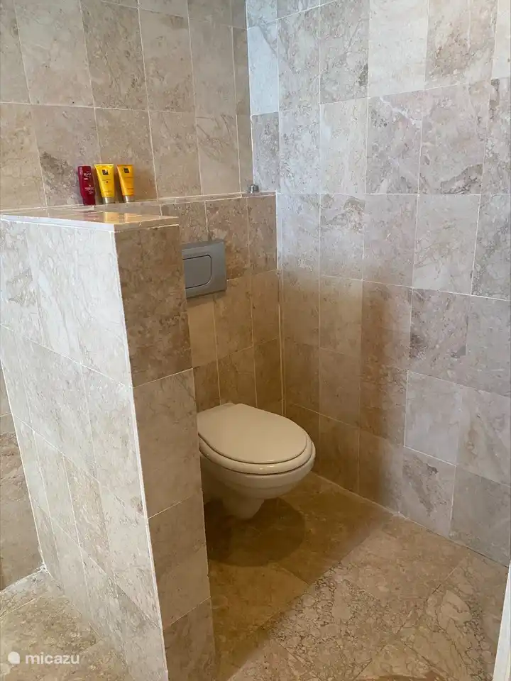 Aseo dormitorio principal