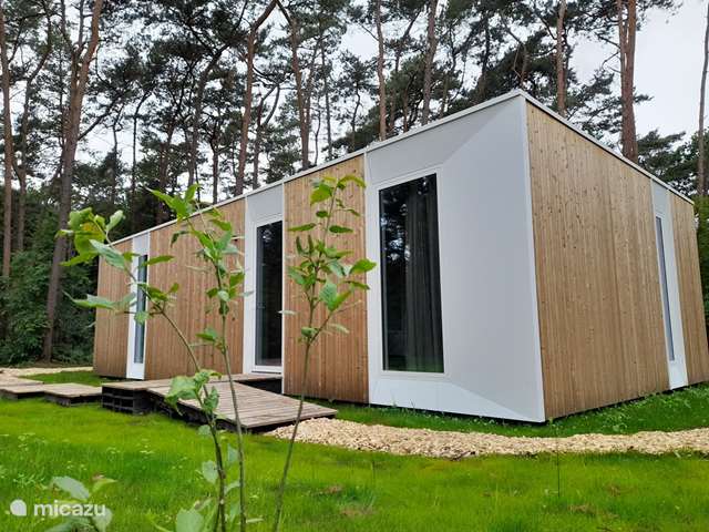 Holiday home in Belgium, Antwerp, Lille - holiday house white box