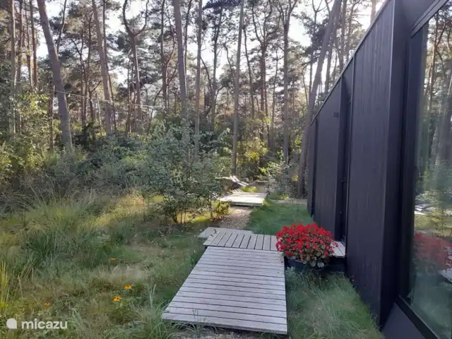 boîte noire | Belgique, Anvers, Lille - maison de vacances zone forestière