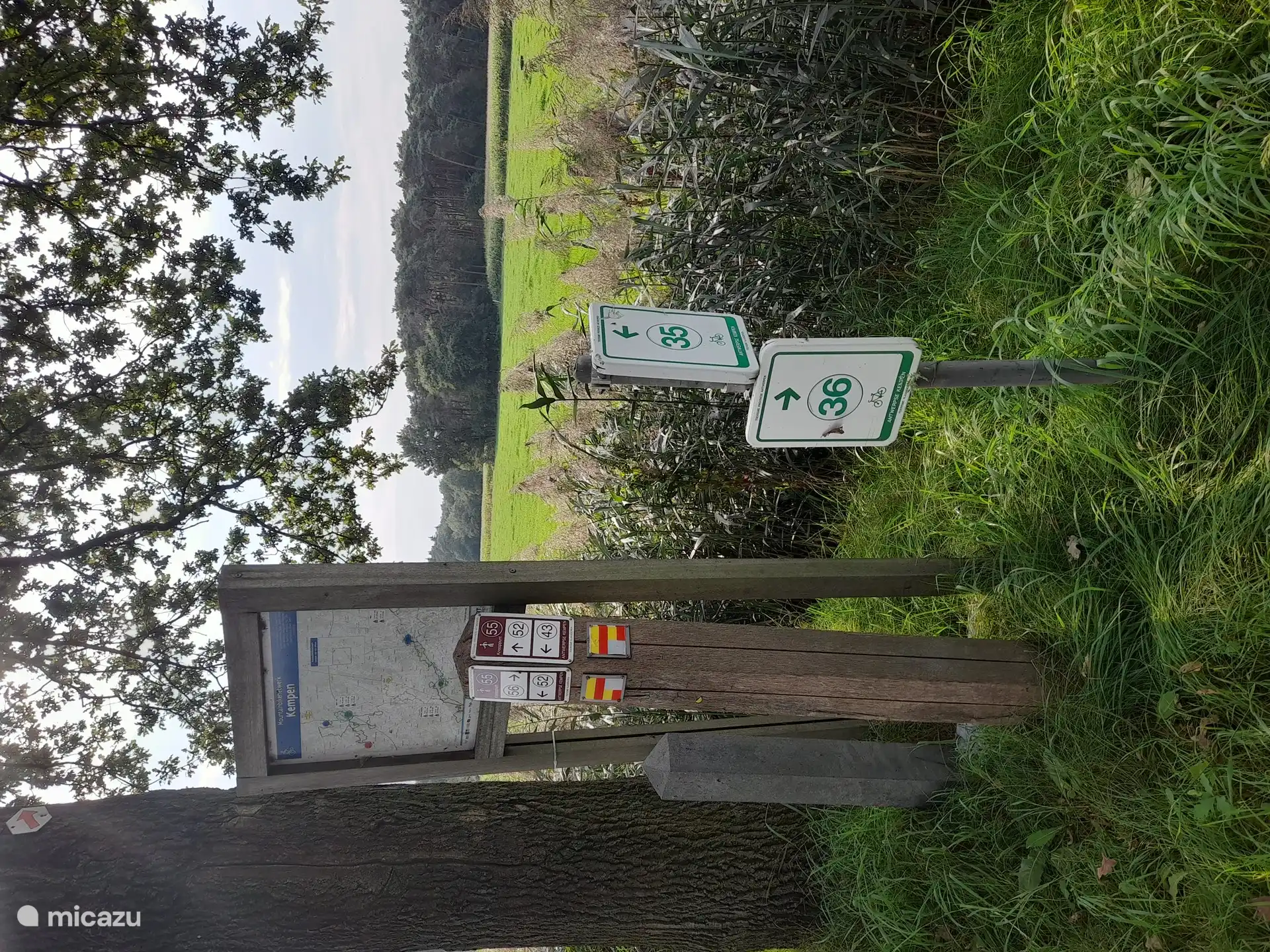 Rutas a pie, en bicicleta y en bicicleta de montaña cercanas.