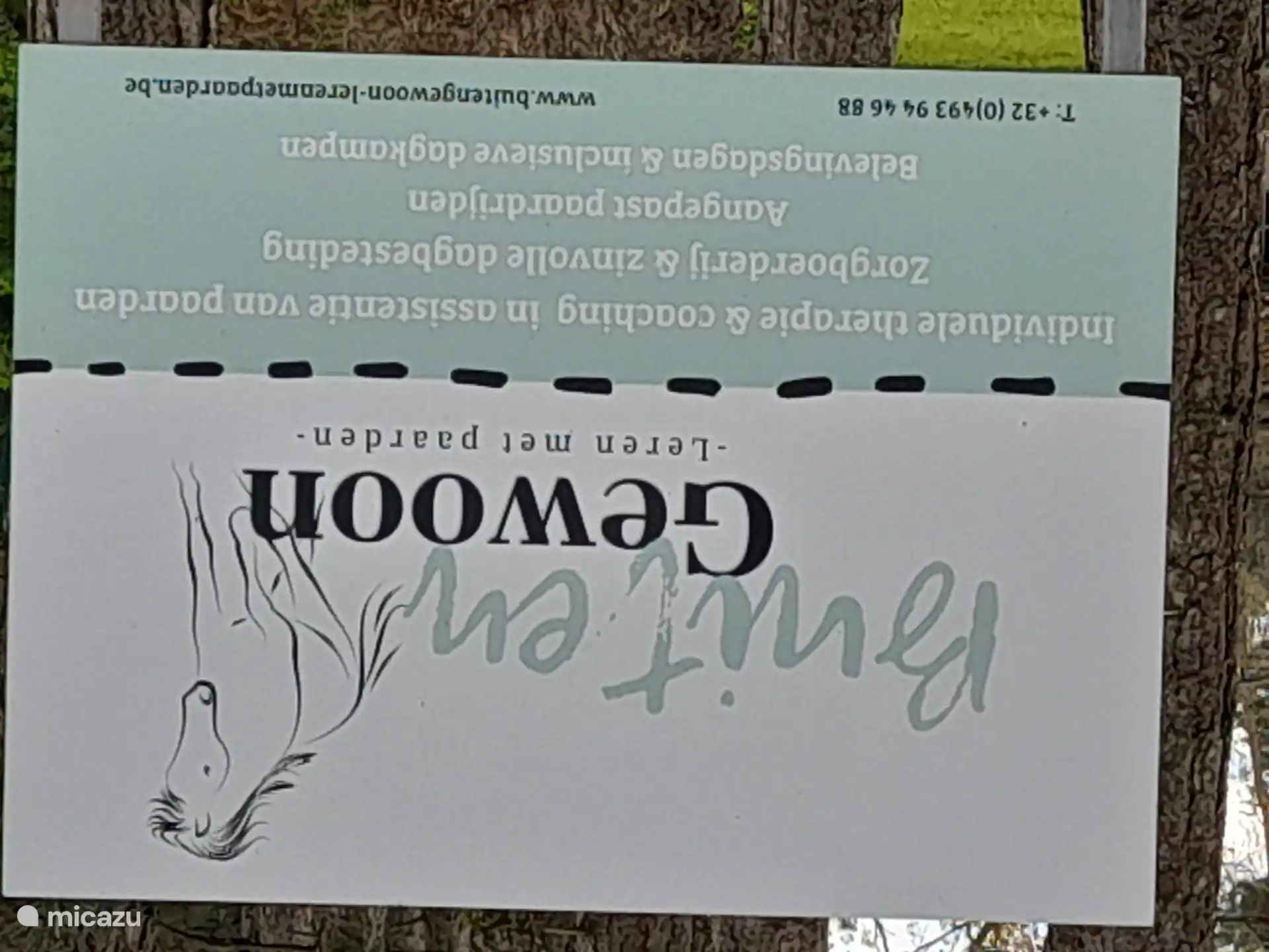 habituación de los caballos en la zona