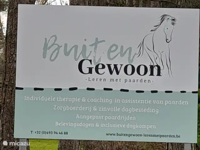 boîte noire | Belgique, Anvers, Lille - maison de vacances habituation du cheval dans la région