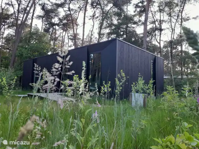 boîte noire | Belgique, Anvers, Lille - maison de vacances vue extérieure