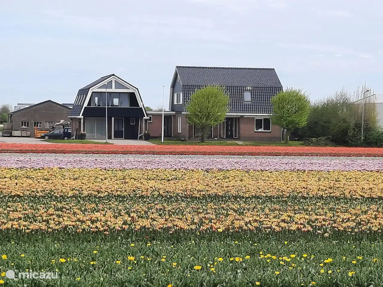Bloemenpracht in Netherlands, North Holland, Breezand - Apartment