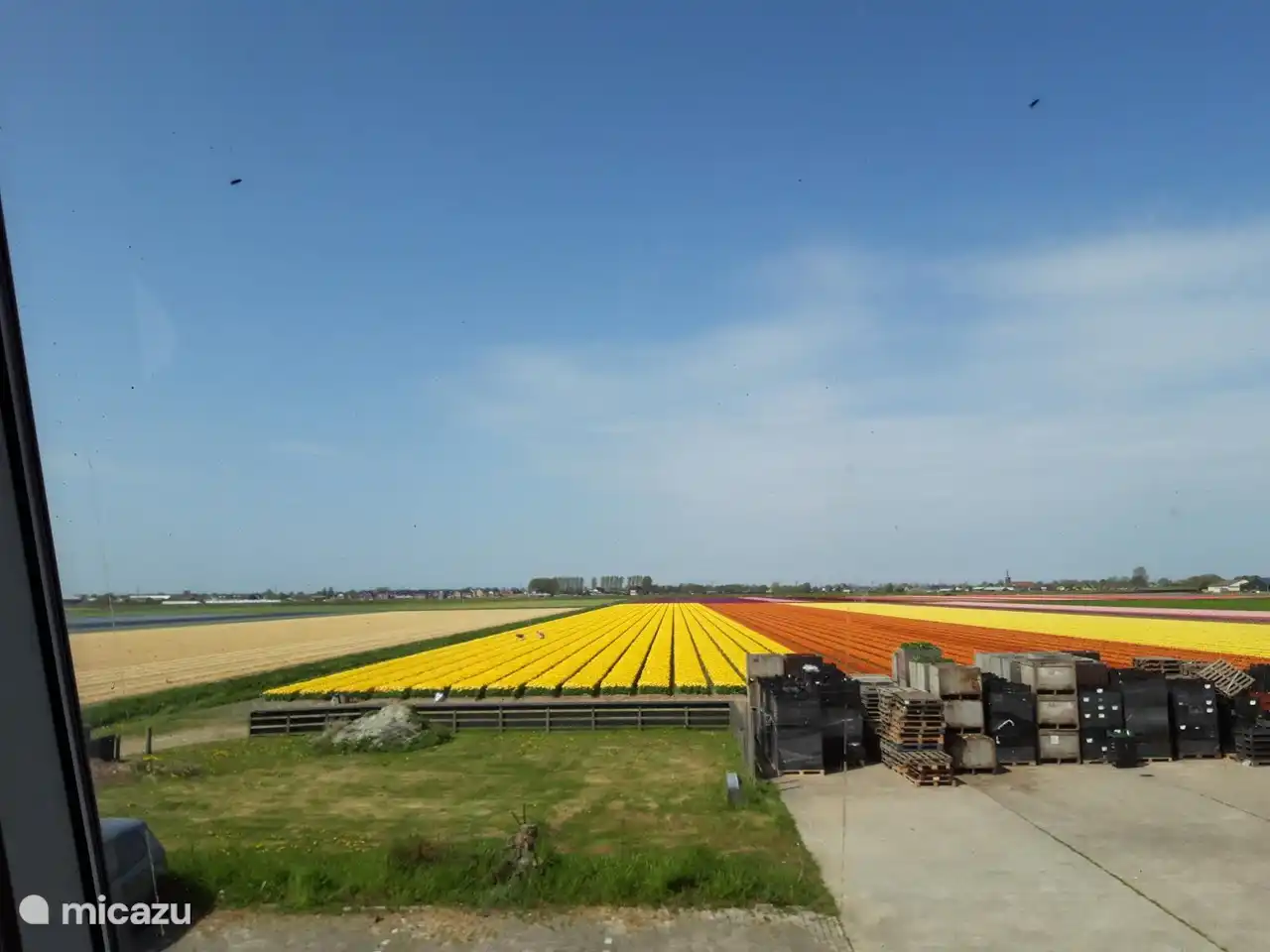 Bloemenpracht in Netherlands, North Holland, Breezand - Apartment