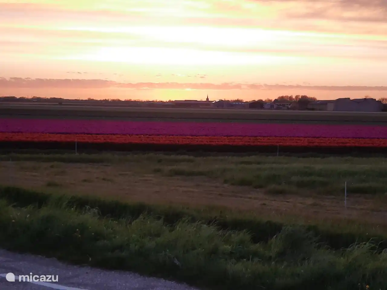 Bloemenpracht in Netherlands, North Holland, Breezand - Apartment