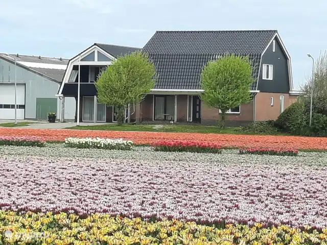 Location de Vacances Pays-Bas, Hollande du Nord, Breezand, appartement - Bloemenpracht Vue extérieure de la maison