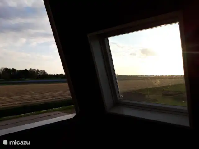 Location de Vacances Pays-Bas, Hollande du Nord, Breezand, appartement - Bloemenpracht Vue de la fenêtre supérieure