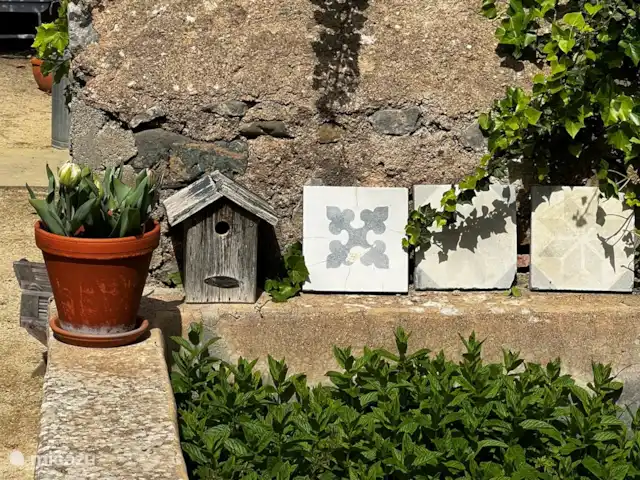 Gîte la Souche | France, Hérault, Saint-Chinian - maison de vacances