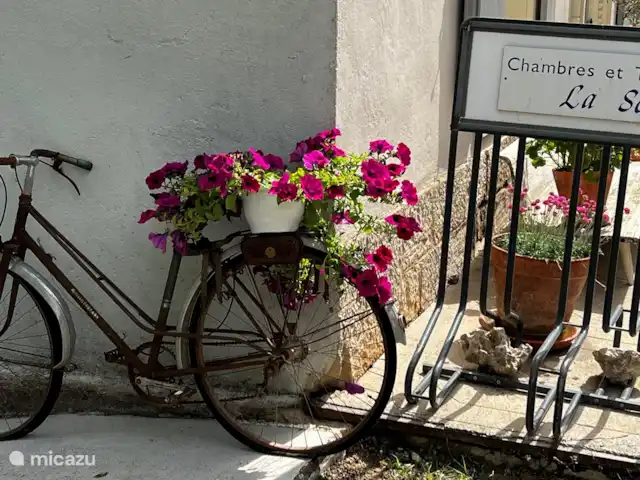 Gîte la Souche | France, Hérault, Saint-Chinian - maison de vacances