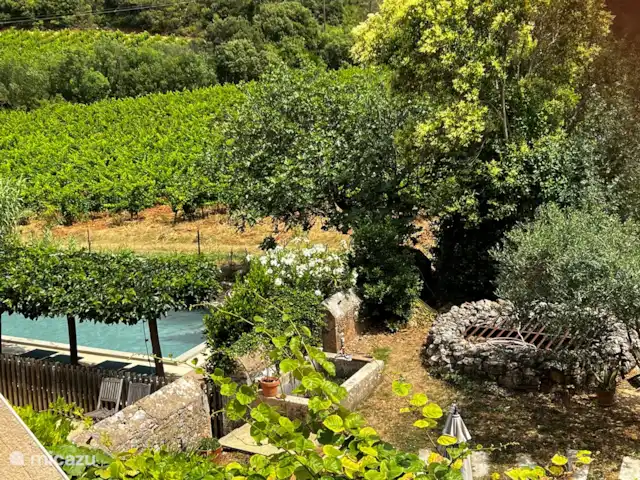 Gîte la Souche | France, Hérault, Saint-Chinian - maison de vacances