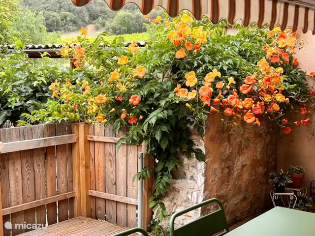 Gîte la Souche | France, Hérault, Saint-Chinian - maison de vacances