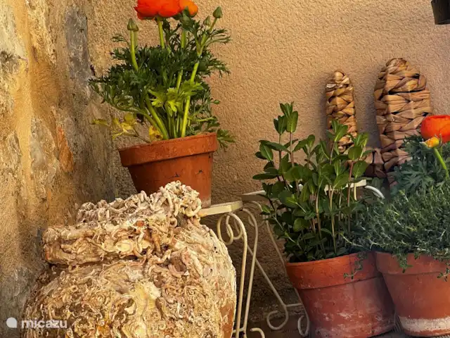 Gîte la Souche | France, Hérault, Saint-Chinian - maison de vacances
