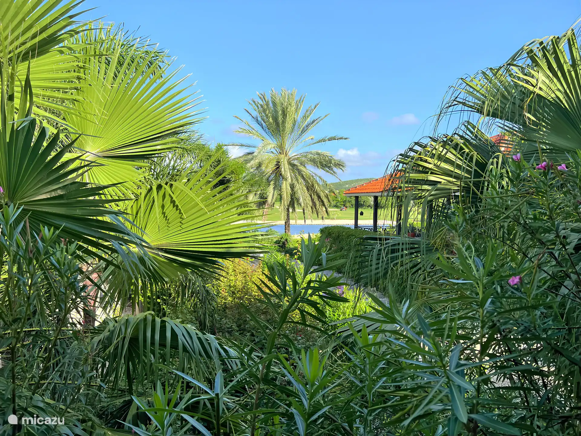 Vue sur le lac Flamingo et le parcours de golf depuis le porche