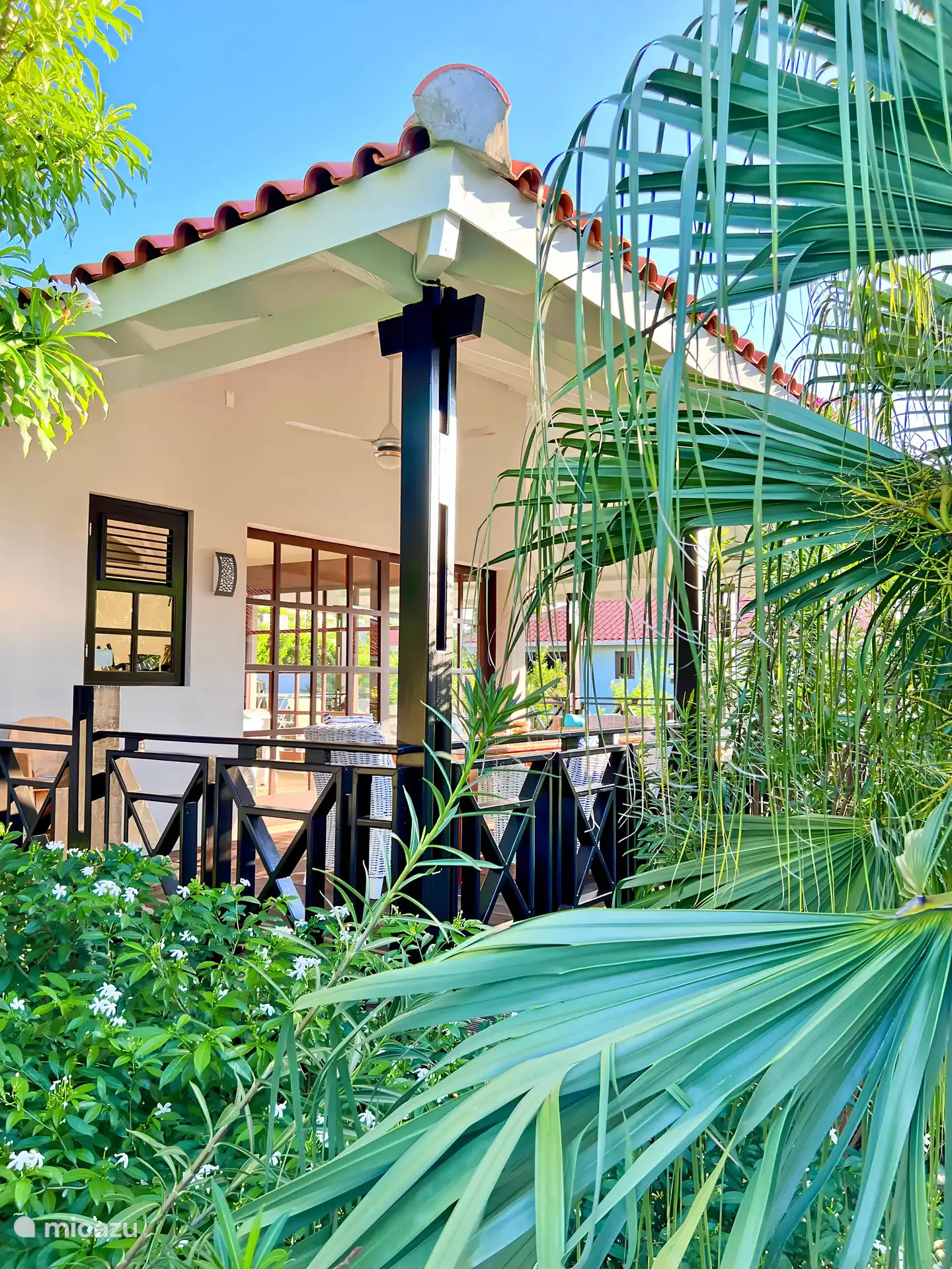 Caché dans la verdure