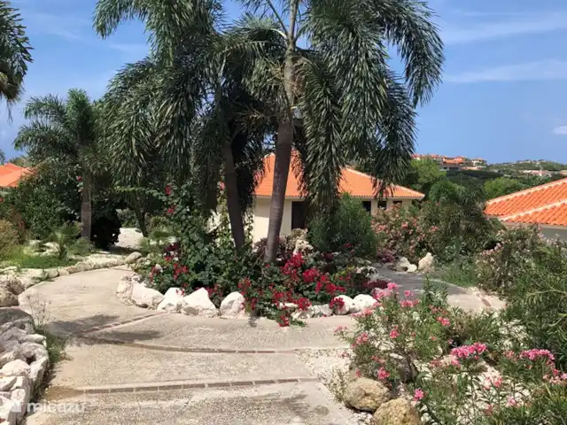 Blue Bay Villa Individuelle Azur | Curaçao, Curaçao-Centre, Blue Bay - villa A travers le jardin tropical sur le chemin de la plage ou de la piscine