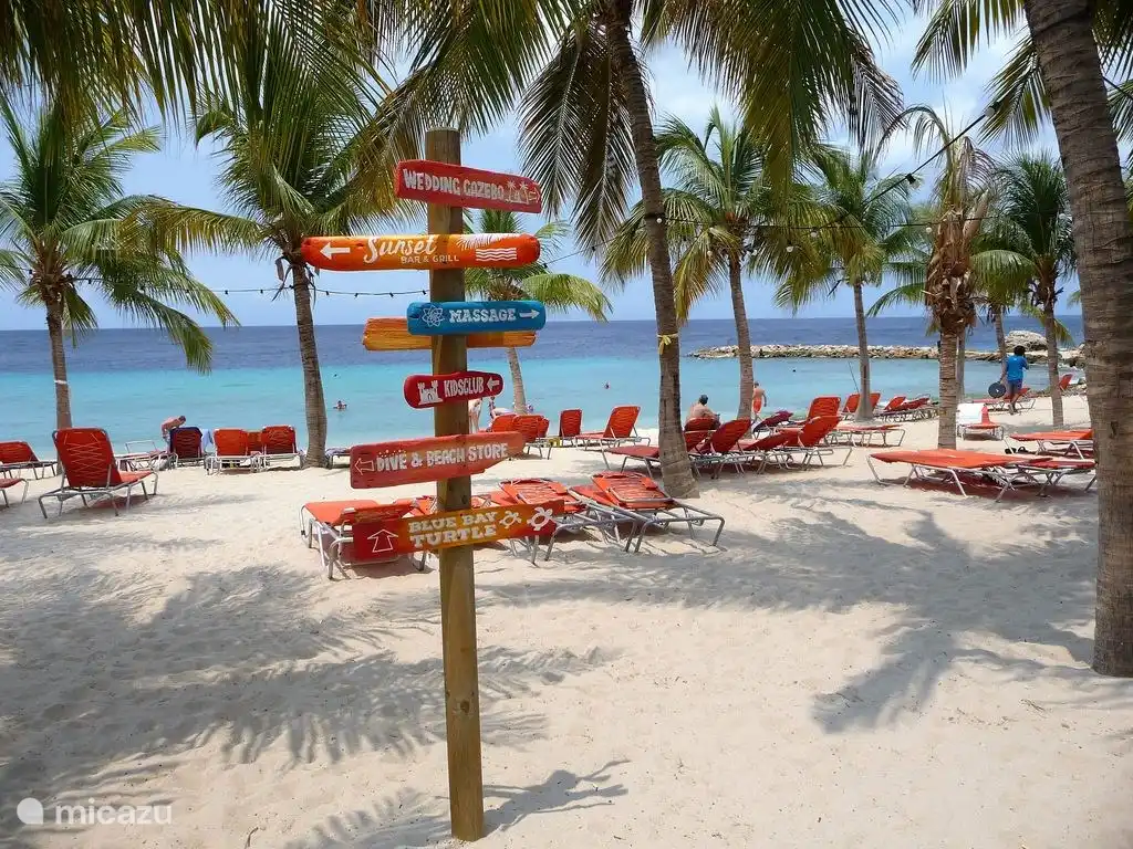 plage de la baie bleue