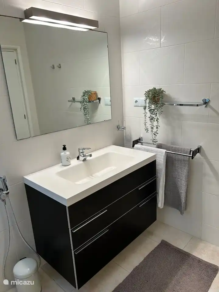 Bathroom 1 - walk-in shower, toilet and sink