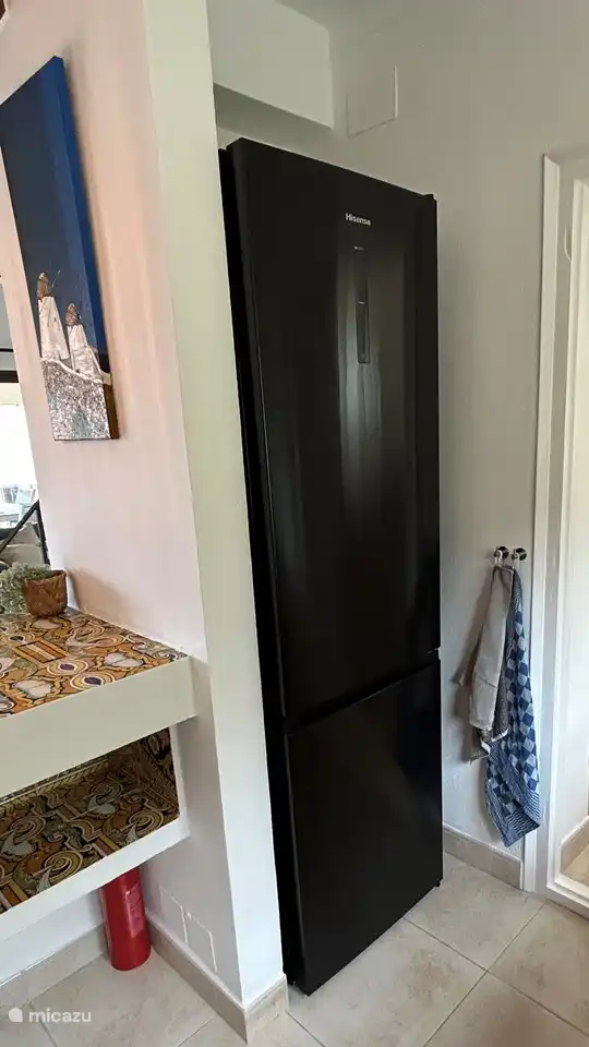 Large fridge-freezer combination