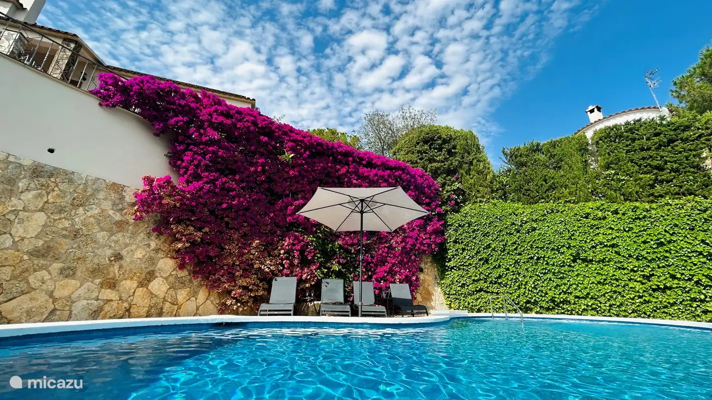 Sheltered and sunny private swimming pool with sunbeds, parasol and tables.