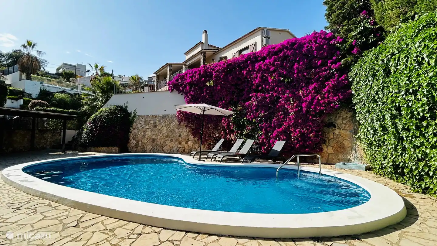 Canopy (left) at the pool for shade. Swimming pool size approximately 11x5 meters